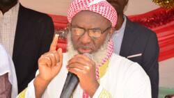 Amnesty for bandits: Sheikh Gumi sends strong message to Nigerians calling for his arrest