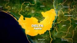 Church member reportedly kills 60-year-old pastor in Delta