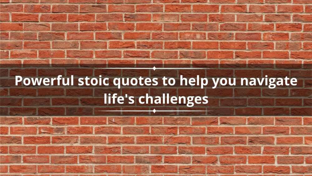 Powerful stoic quotes
