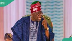 Kogi polls: Tinubu urged to remove Navy Commander over alleged attack on SDP’s campaign director's residence