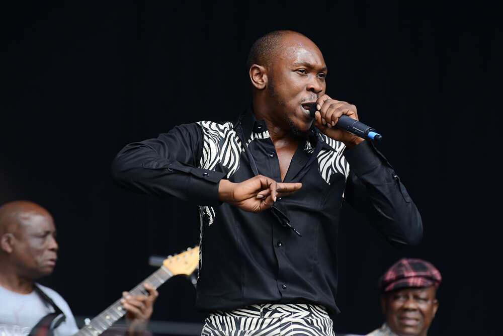 Seun Kuti net worth