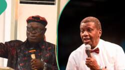 Israel-Hamas: MURIC blows hot over Adeboye's prayer point in viral video