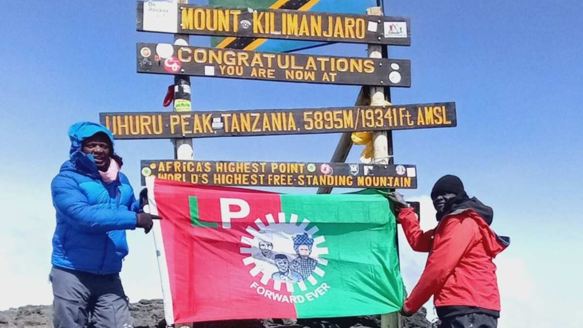 Peter Obi's supporter climbs Mount Kilimanjaro, what he did next is amazing