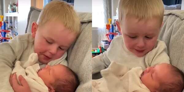 Little Boy Cries Hard in Video, Carries BaƄy Sister For the First Tiмe,  Cuddles Her With So Much Loʋe And Care - Legit.ng