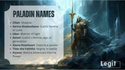 100+ awesome paladin names: find a perfect name for your character