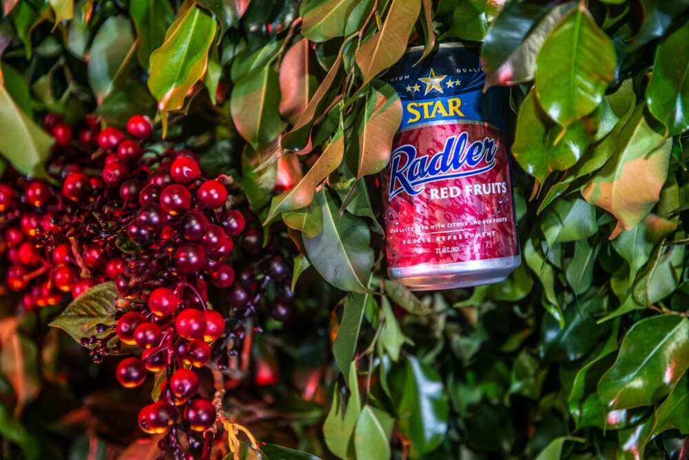 Here is why you should try the new Star Radler’s citrus fruit variant