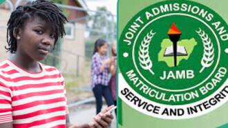 JAMB 2024 candidate cries bitterly despite scoring 289 in UTME, wishes to score 300 for scholarship