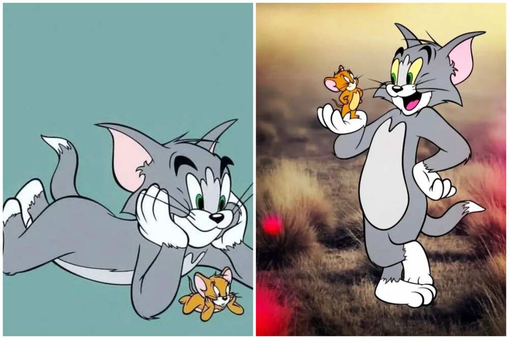 1990s cartoon characters 1990s cartoon characters
