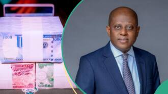 Nigeria’s external reserve falls by $2.16 billion as CBN sells dollar to save naira