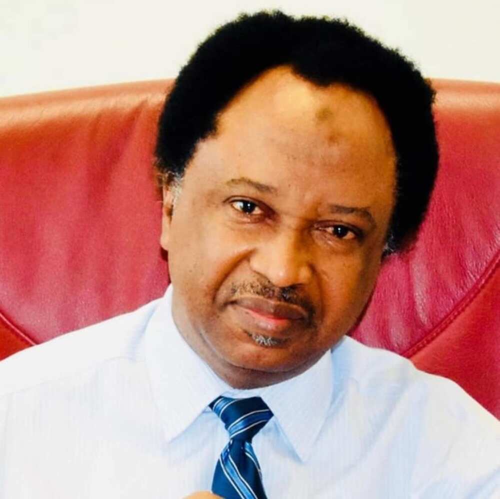 Senator Shehu Sani Senator Shehu Sani