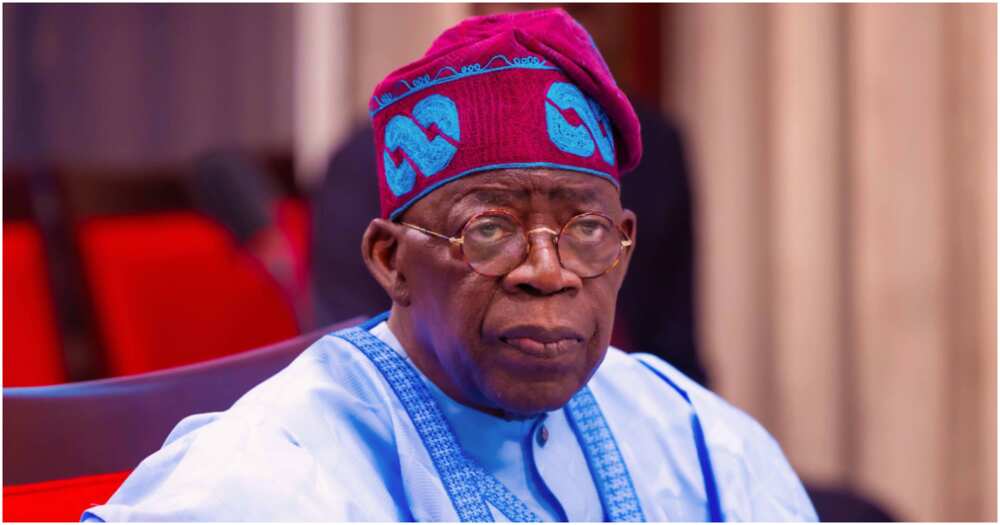 Bola Tinubu, tax reforms, Dele Alake