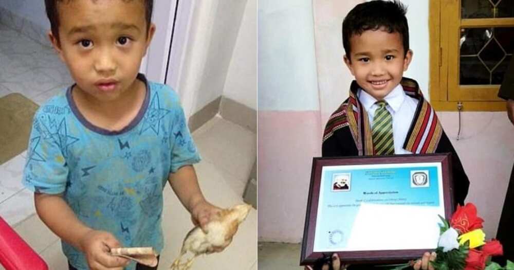 6-year-old boy who took chicken he accidentally ran over with his bicycle to hospital gets honoured