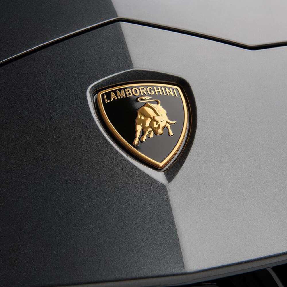 Expensive Car Logos 19