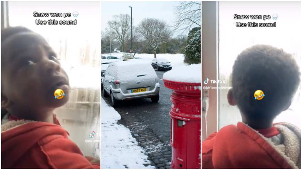 Kid sees snow abroad/boy calls snow garri