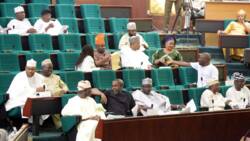 Reps condemn killings of female students in DELSU by ritualists, begin investigation