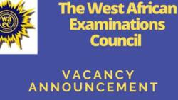 WAEC recruitment in 2023: portal, how to apply, vacancies, closing date