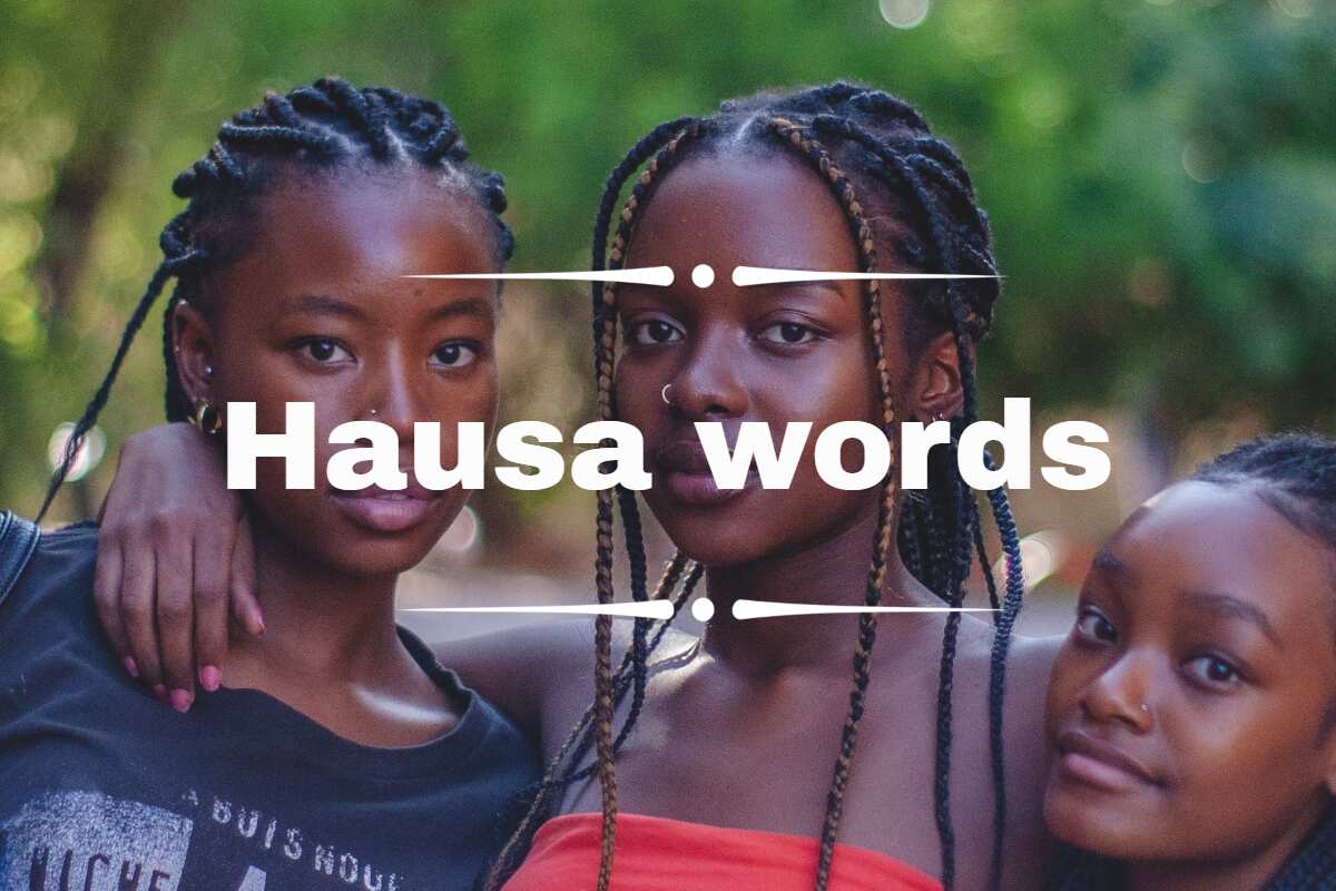 what is the meaning of assignment in hausa
