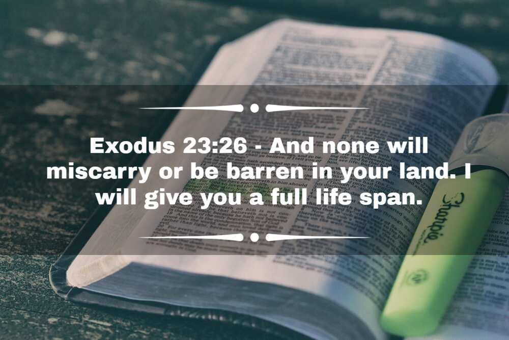 Bible verse when praying for safe delivery Bible verse when praying for safe delivery