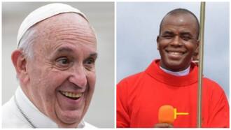 ‘Stingy’ comment: Pope Francis condemns attack on Enugu Bishop, issues strong warning to Mbaka’s followers