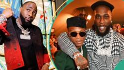 Like Burna Boy and Wizkid, Davido speaks on Afrobeats, 'boxing' Africans, unveils his kind of music