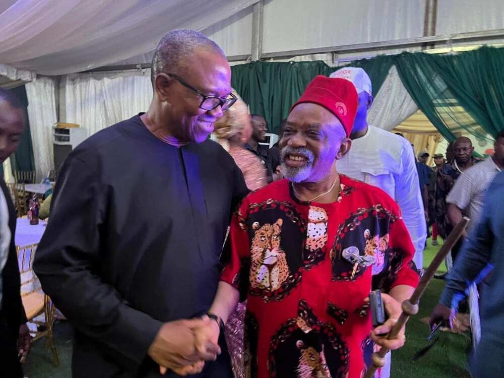 2023 election, Chris Ngige's declaration, ASUU, NARD strikes 2023 election, Chris Ngige's declaration, ASUU, NARD strikes