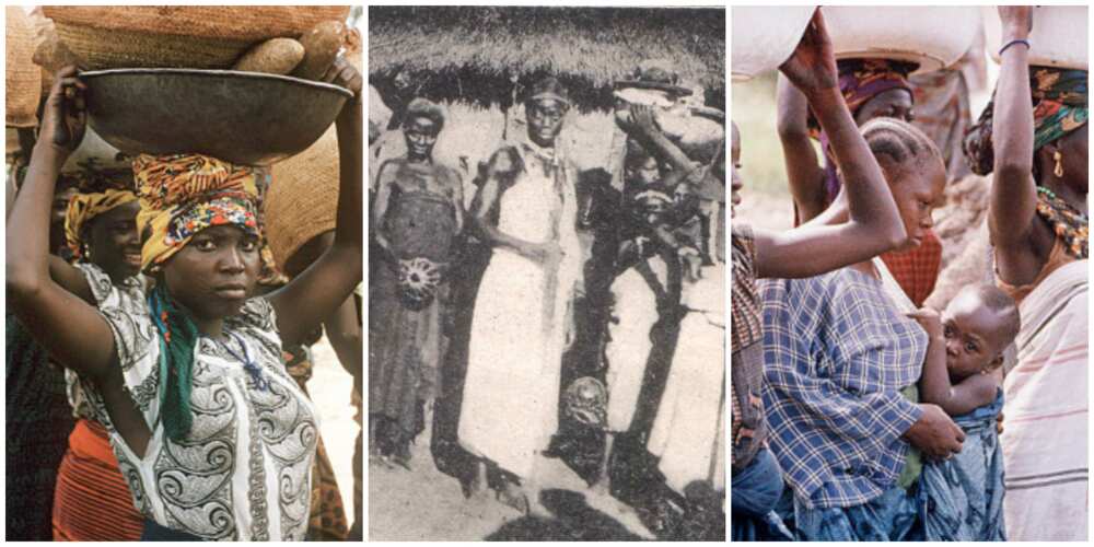 10 Amazing Facts About Nupe Tribes of Nigeria; Food, Lifestyles With Pictures