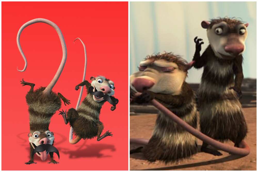 Characters of Ice Age
