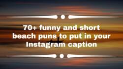 70+ funny and short beach puns to put in your Instagram caption