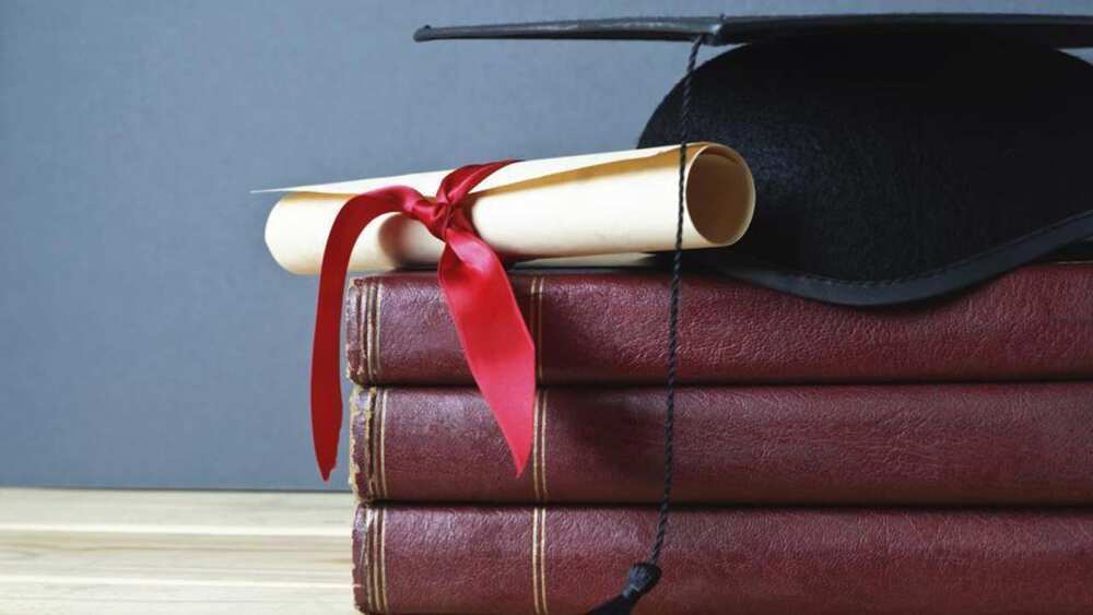 PhD degree PhD degree
