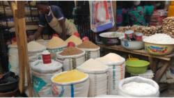 Legit.ng weekly price check: Lagos trader reacts as Bag of rice sells for N43,000 in popular market