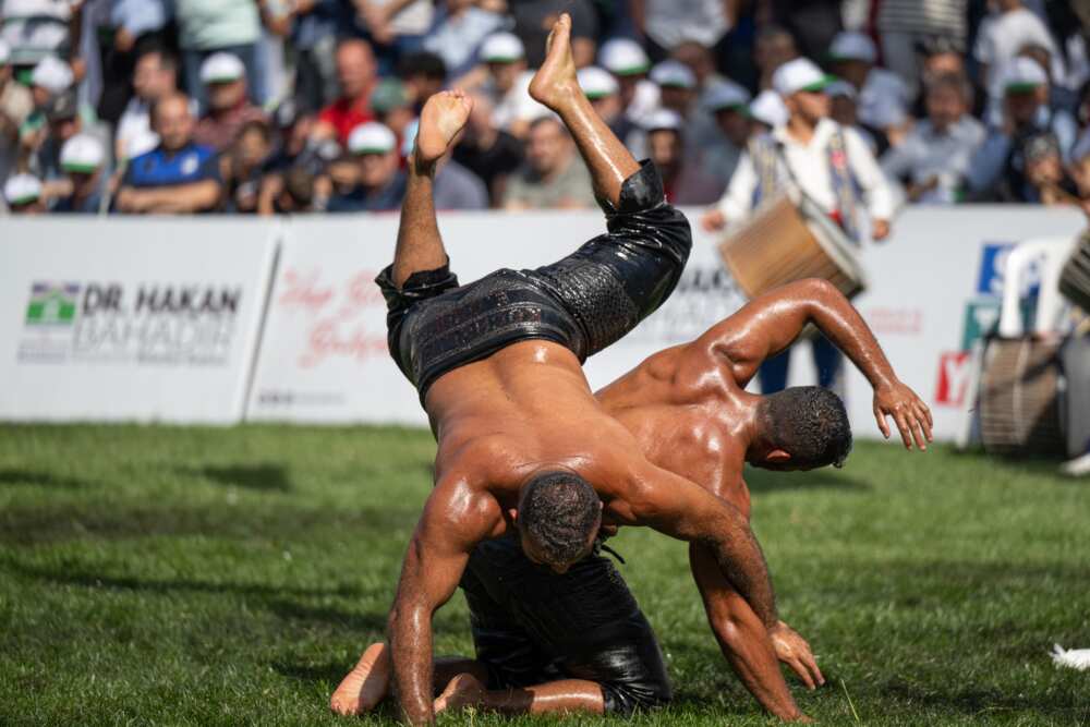 is wrestling real or fake is wrestling real or fake