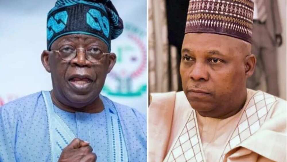 Gwamnonin APC sun goyi bayan takarar Tinubu da Shettima