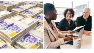 Nigerian banks borrow N338.4 billion from CBN in one month as banking liquidity improves