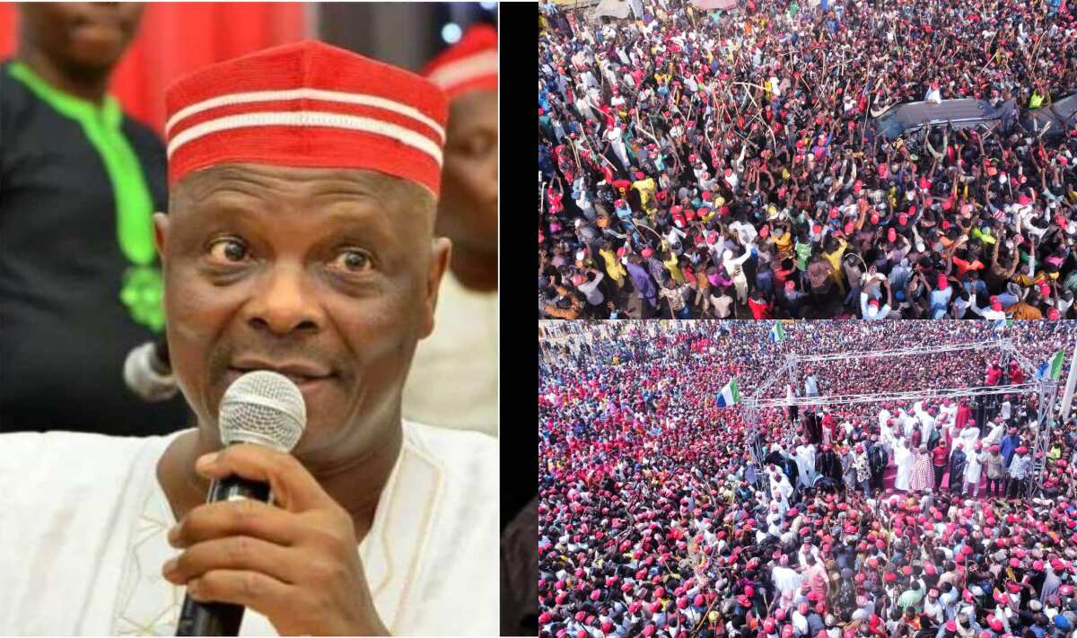 BREAKING NNPP leads APC in Kano as INEC announces results from 12 local governments Legit.ng