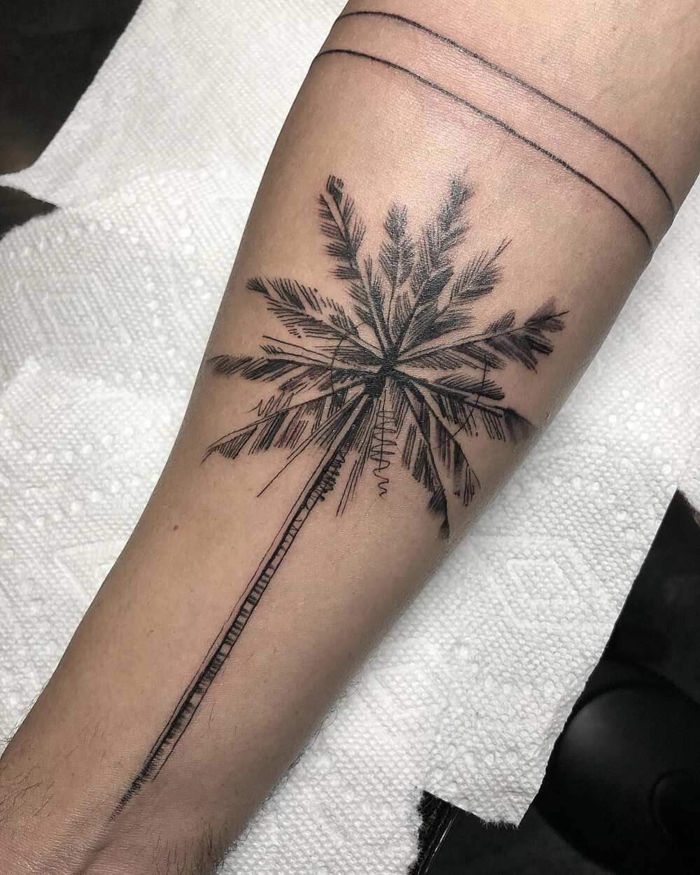 palm tree symbolism