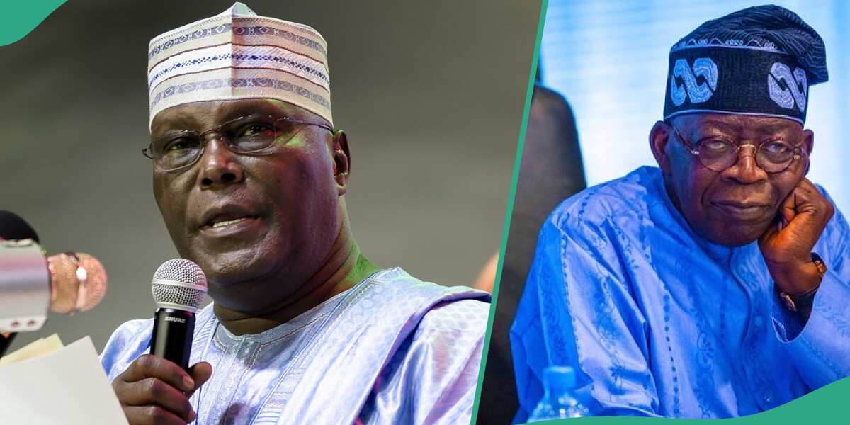 CSU Certificate battle: Atiku engages Tinubu in fresh challenge