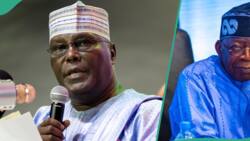 How Tinubu put personal business interests before infrastructure, Atiku makes fresh allegation