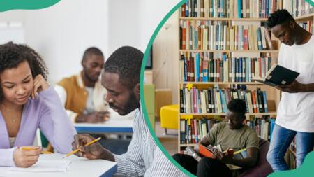 JAMB syllabus for all subjects 2023/2024: detailed breakdown
