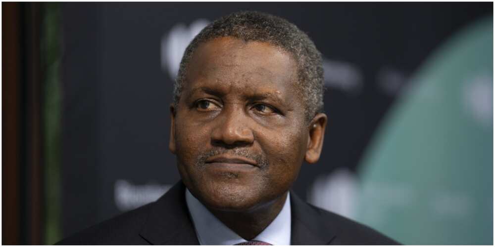 Aliko Dangote's Sugar Business Made Him N13billion Richer In Twelve Months