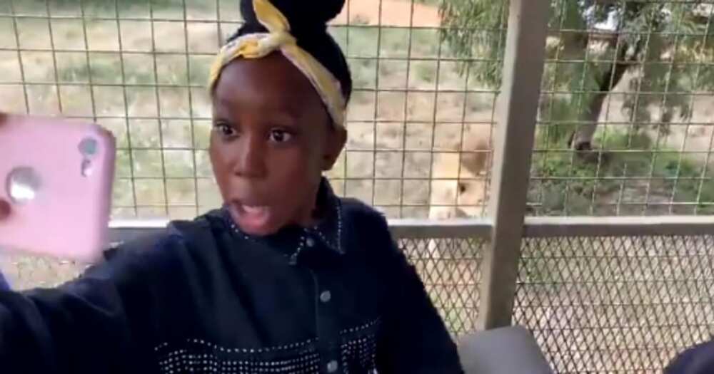 "She Was Never Ready": Girl Taking a Selfie Gets Interrupted by a Lion