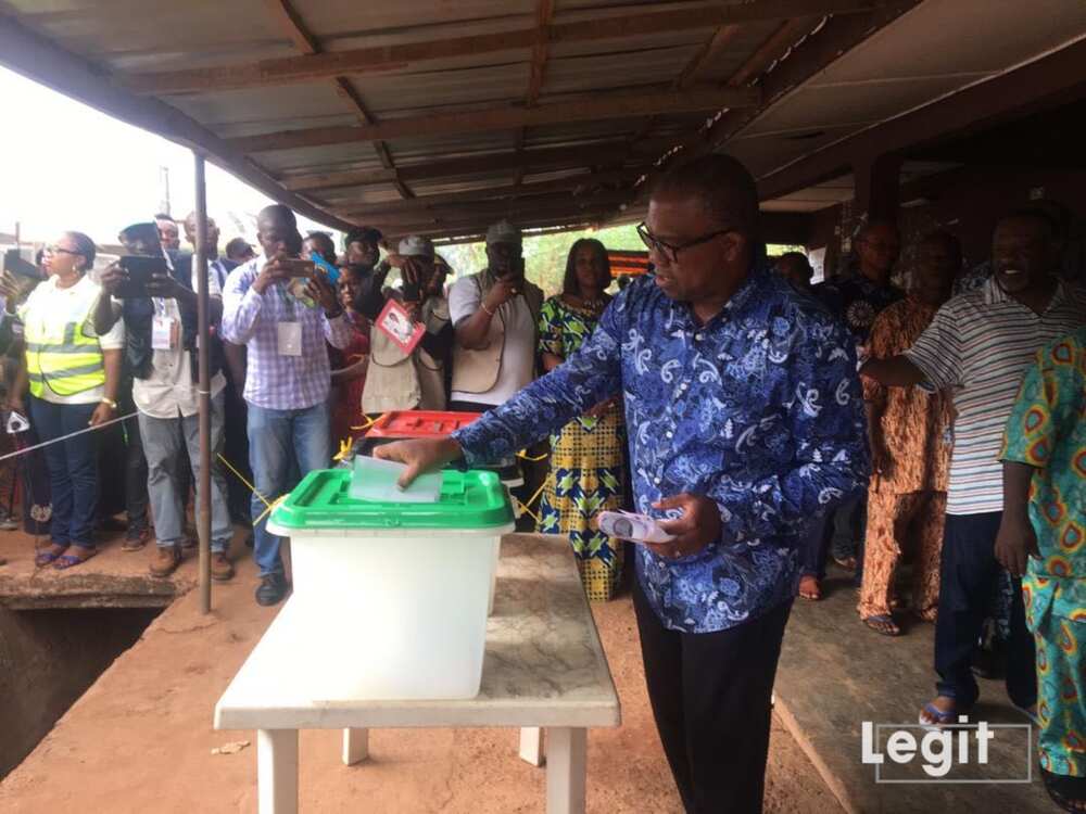 Former Governor Peter Obi