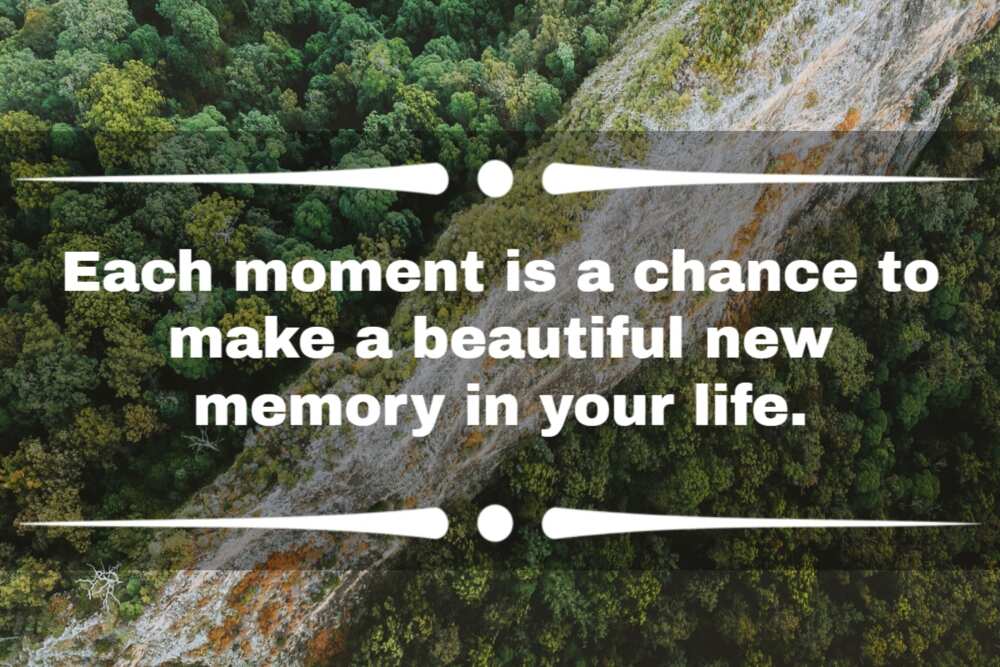 50+ cool live in the moment quotes to help you seize the day 