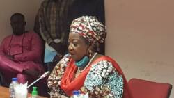 "You have dubious intentions": Diaspora group cautions NDDC chairman Ms Lauretta Onochie