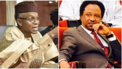 Shehu Sani finally 'breaks the table' over El-Rufai's claim on possible military takeover