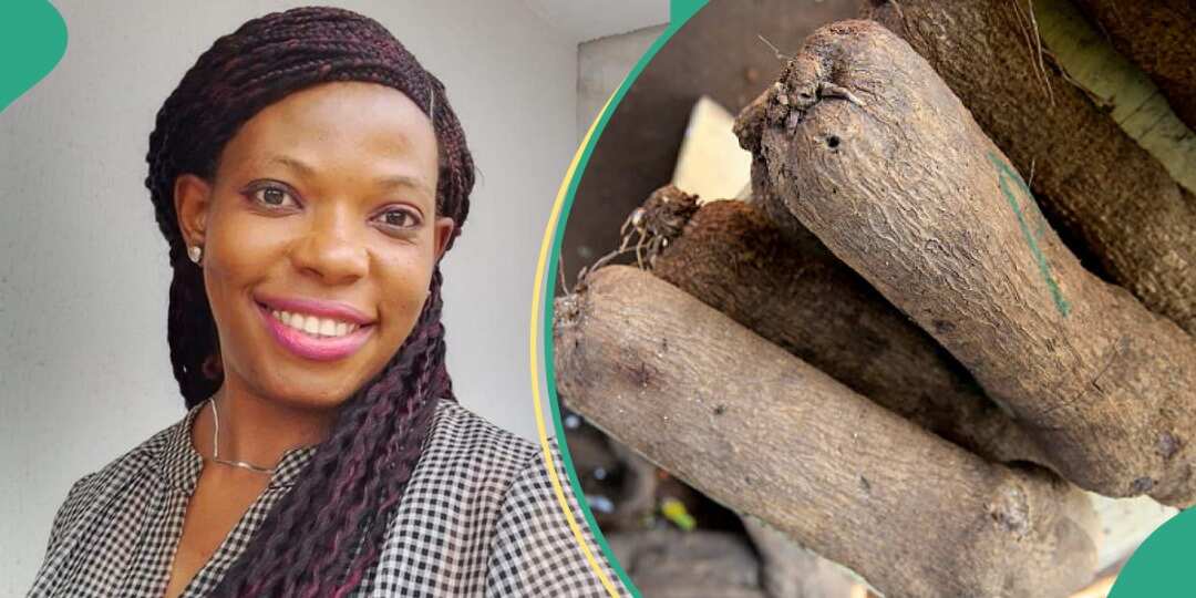 Check out the cost of 6 tubers of yams in Nigeria 6 years ago