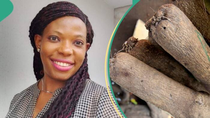 "This country is finished": Lady's 2014 post shows price of 6 yams 10 years ago, people react