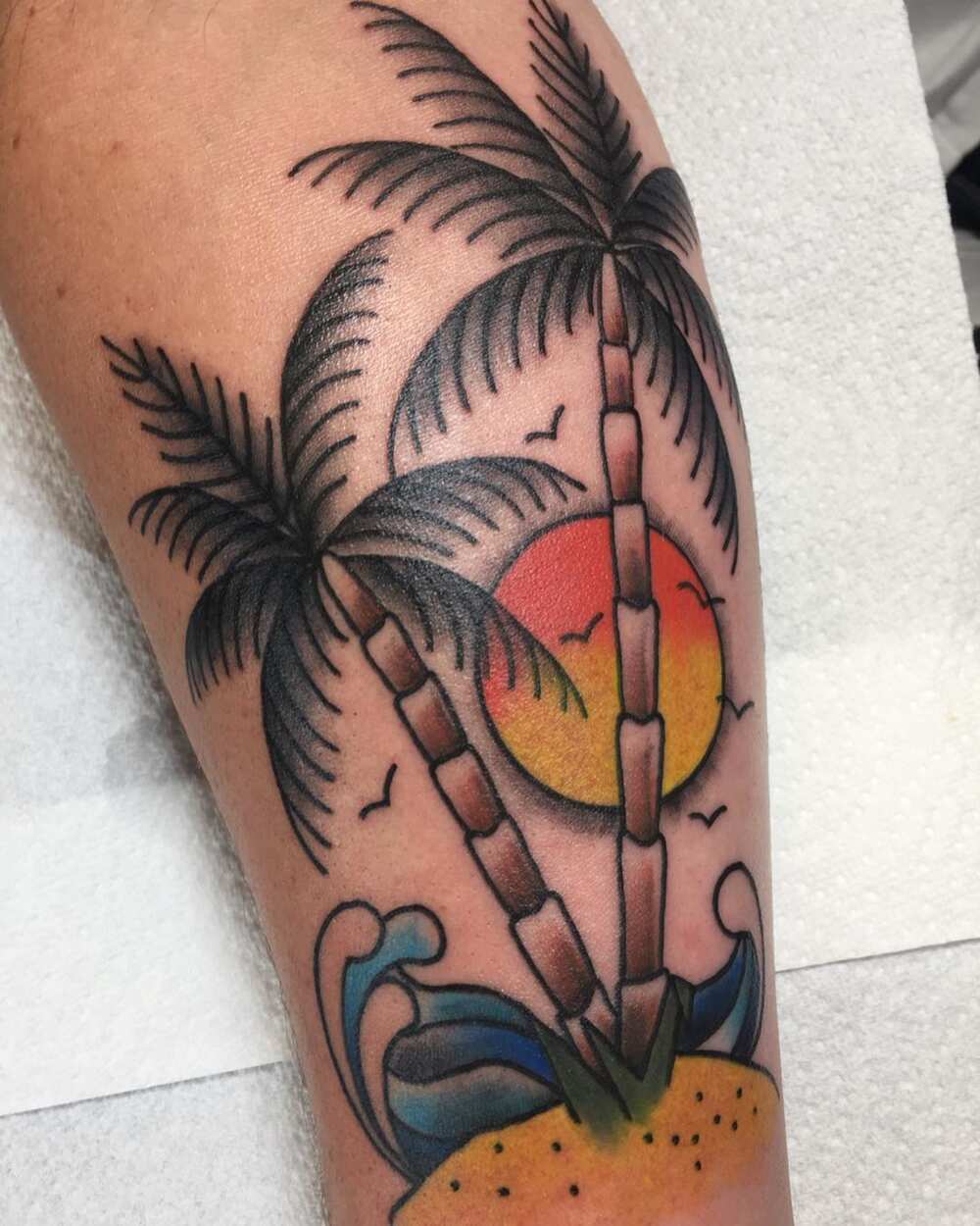 palm tree symbolism palm tree symbolism