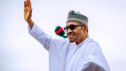 Full List of Committee Emerges as Buhari Makes Preparation for May 29 Power Transition