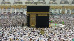 Amid economic hardship, NAHCON increases Hajj fare by N1.9m for Nigerian pilgrims