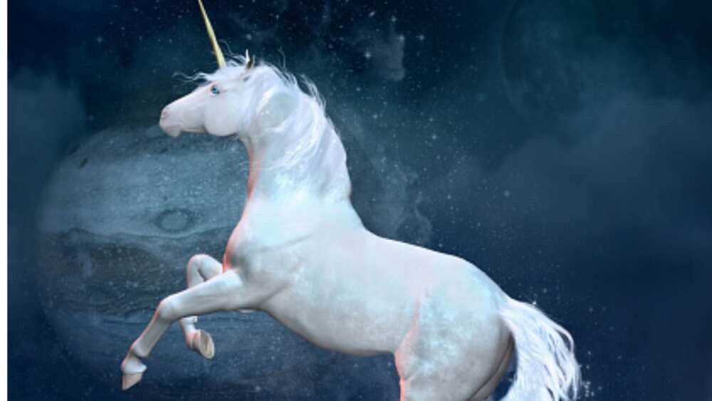 are-unicorns-in-the-bible-verses-that-mention-the-mythical-creature